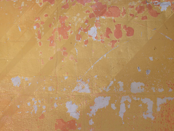 California After Palisades23195 Michaelgaillard