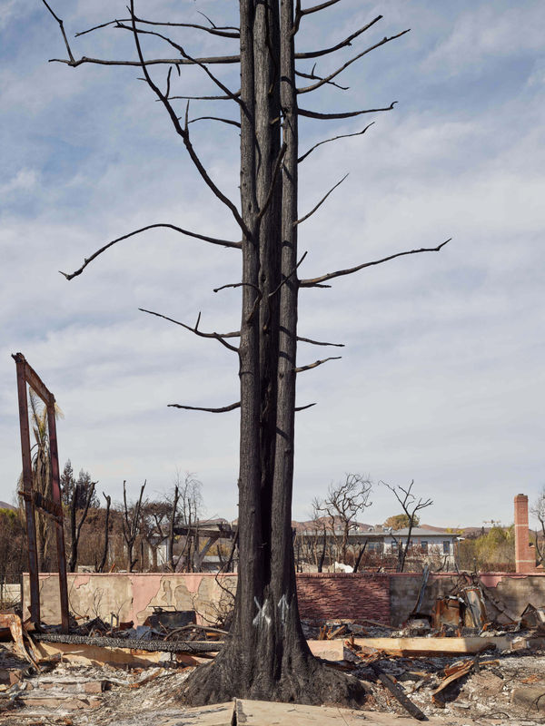 California After Palisades22880 Michaelgaillard