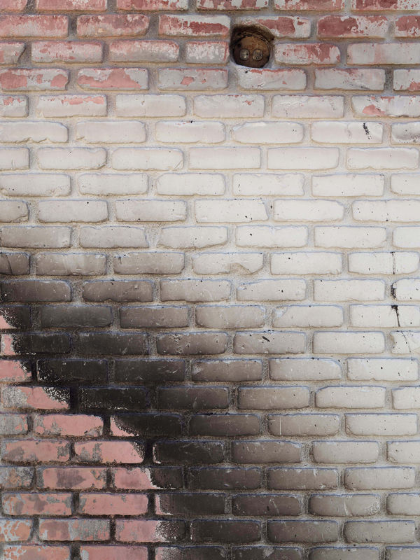 California After Palisades23210 Michaelgaillard