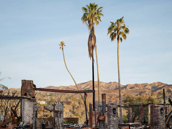 California After Palisades22707 Michaelgaillard