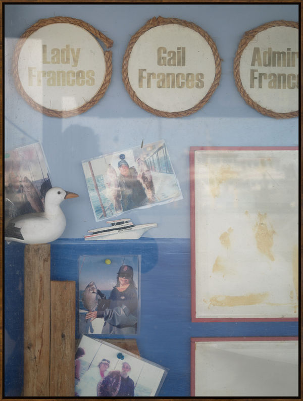 Isolation Record 4430, 2020, Archival Inkjet Print, Dimensions Variable