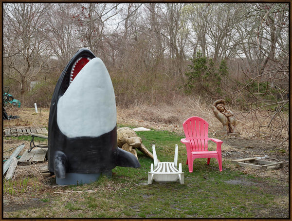 Isolation Record 4508, 2020, Archival Inkjet Print, Dimensions Variable