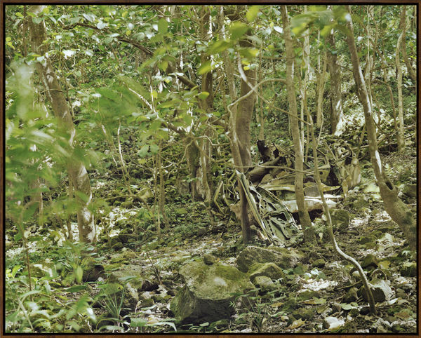 Crash, 2016, Archival Pigment Print, Dimensions Variable