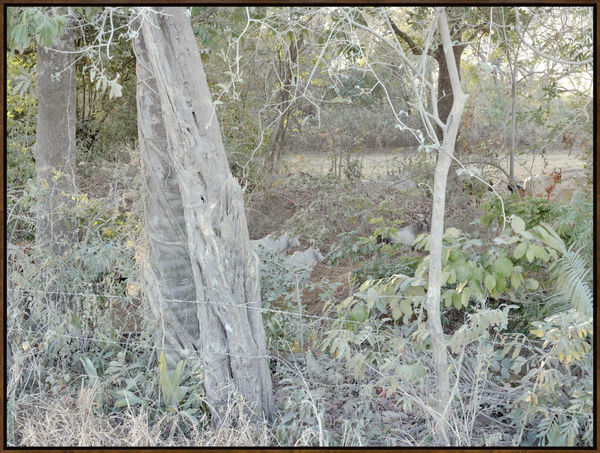 Day's End, 2019, Archival Pigment Print, Dimensions Variable