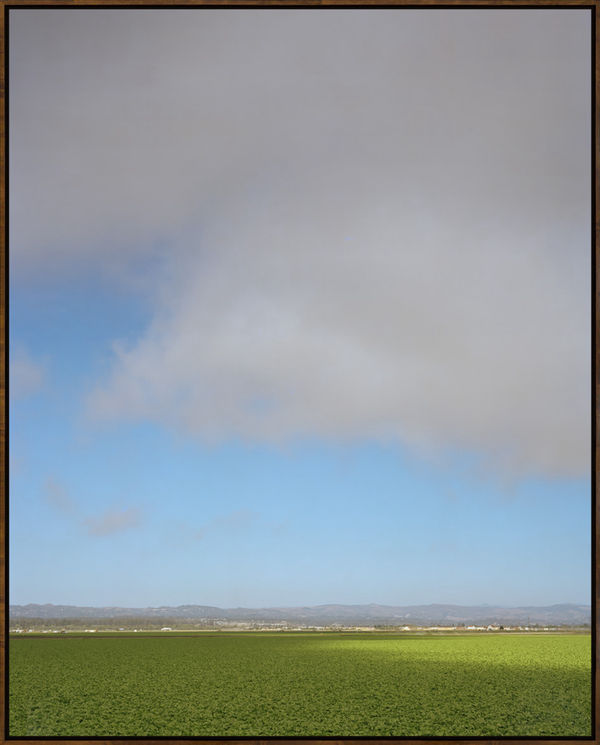 Central California, 2016, Archival Pigment Print, Dimensions Variable