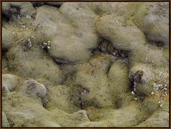 Iceland 18811, 2024, Archival Inkjet Print, Dimensions Variable