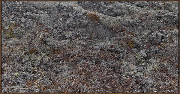 Lava Studies 19732, 2024, Archival Inkjet Print, Dimensions Variable