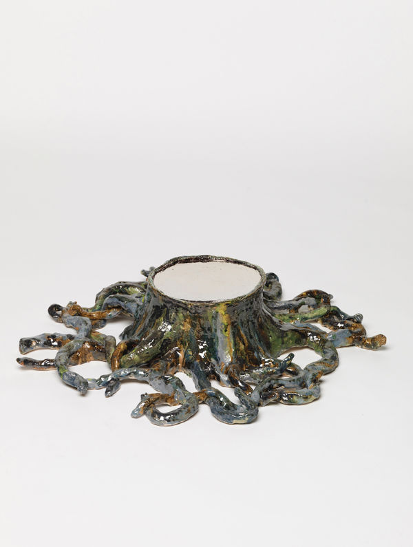 Rosi Steinbach, Waldspiegel, 2022