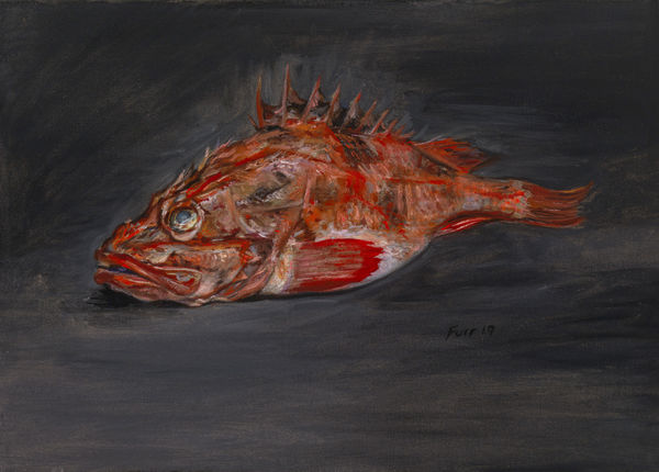 Christian Furr, Acadian Red Fish , 2019