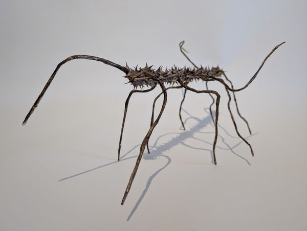 Remi Jablecki - Support Scene 1