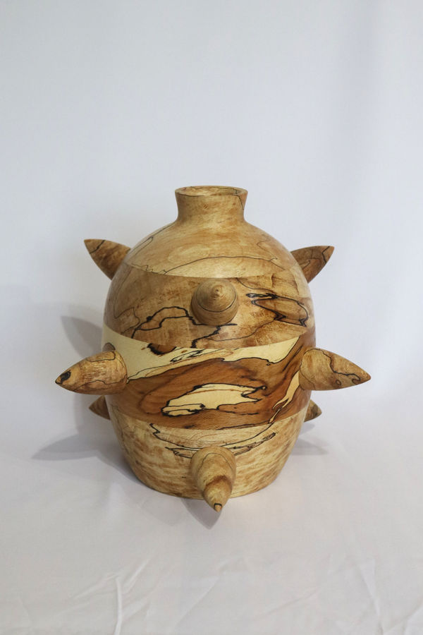 Aimie Harding - Echinoid