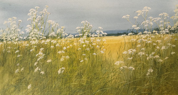 David E Johnston, RSW - Late Winter Sunlight, Denlethen