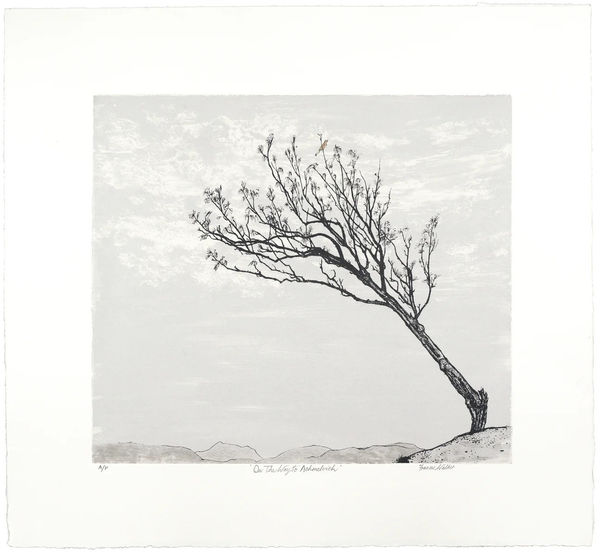 Frances Walker - On the Way to Achmelvich, 2022