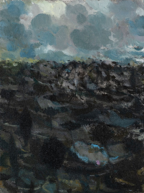 Swear I Was There Oil on canvas 31 x 23 cm Joe Fan, RSA