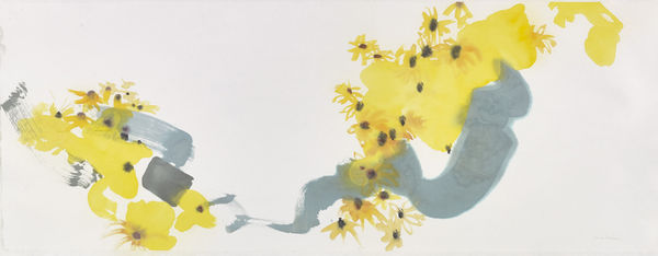 Black-eyed Susan I Watercolour 38 x 102cm Claire Harkess