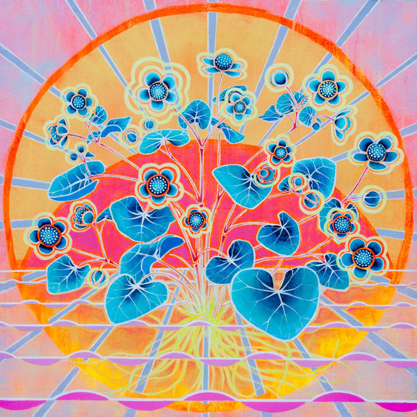 Kirsty Lorenz, Caltha palustris, Birnie Loch, Fife