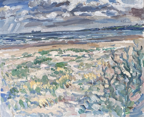 Peter Regent, Tentsmuir ship on horizon