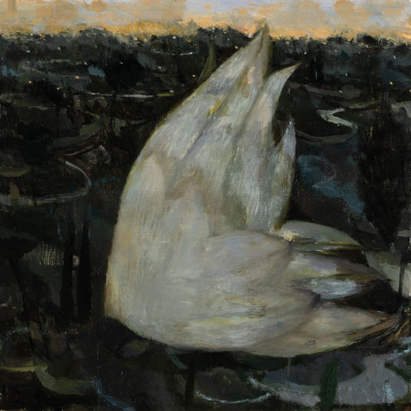 Feather Oil on canvas 30 x 30 cm Joe Fan, RSA