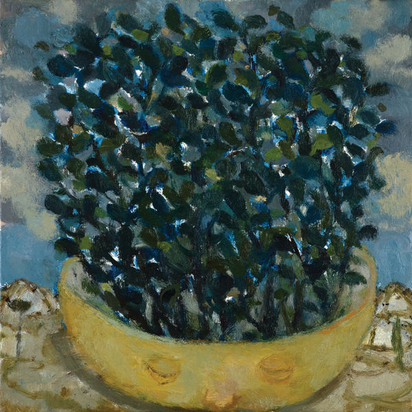 Sleeping Basil Oil on canvas 30 x 30 cm Joe Fan, RSA