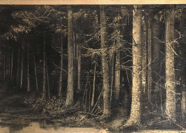 Nerine Tassie, Tentsmuir Walk