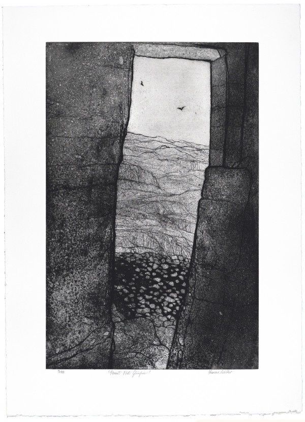 Frances Walker, Hermit Hut Glimpse, 2010