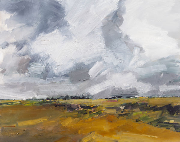 Into the Landscape Dominique Cameron / Anna King / Ian Kinnear / Heather McDermott