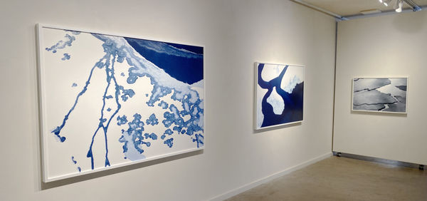 Elements All 3Badjusted