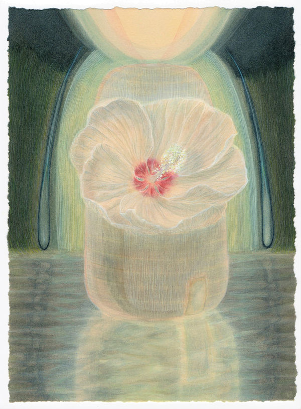 CHRISTINA HAGLID, Midnight Nest, 2022