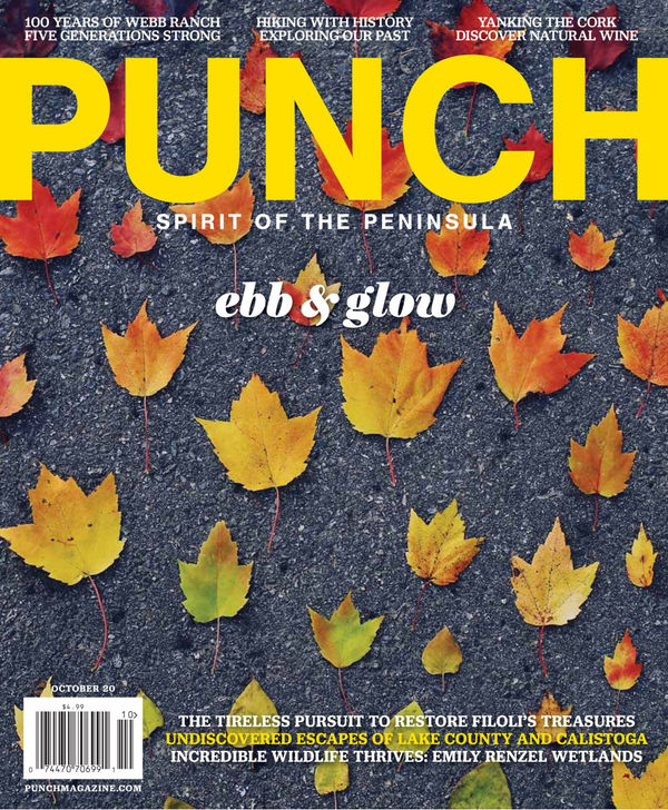 PUNCH Magazine - The first family of framing