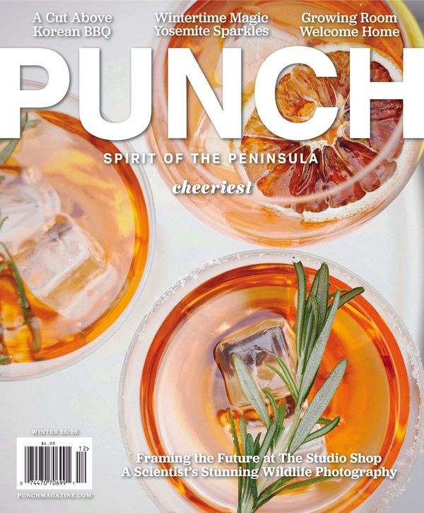 Framing the Future, Punch Magazine