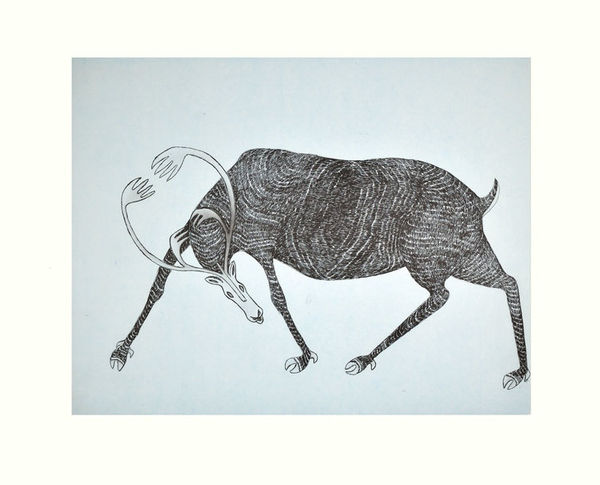 QUVIANAQTUK PUDLAT, Defiant Caribou, 2018