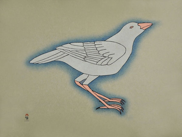 Qavavau Manumie, WHITE RAVEN, 2015