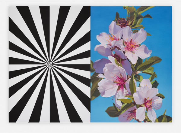 Mustafa Hulusi, Exstacy Min 3 (S), 2016