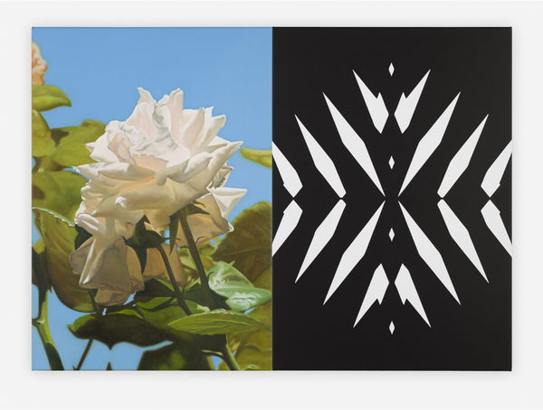 Mustafa Hulusi, Abstract Rose 15 (S), 2015