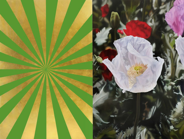 Mustafa Hulusi, Afyon Expander 14 (M), 2016