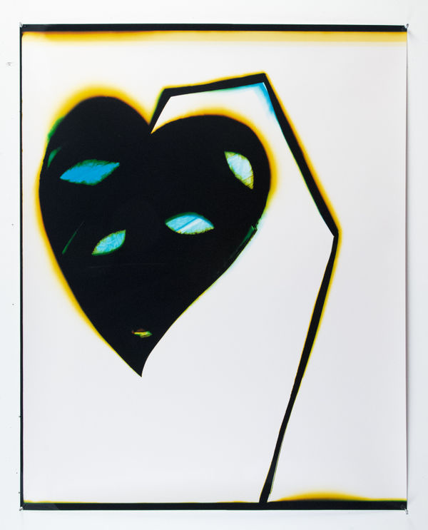 Liz Nielsen He&rsquo;s So Pretty, 2022 Analog chromogenic photogram on Fujiflex 49 x 49 in 124.46 x 124.46 cm