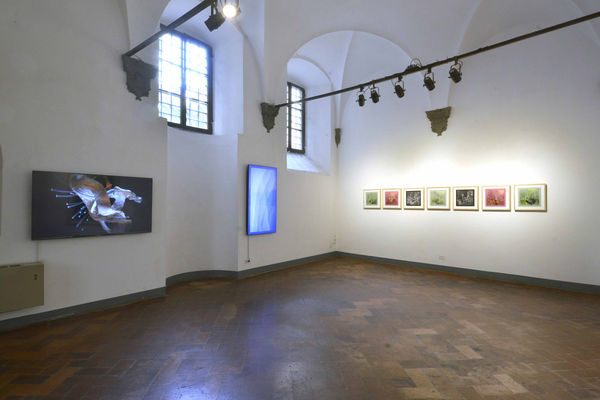 Reconciliation with the Living