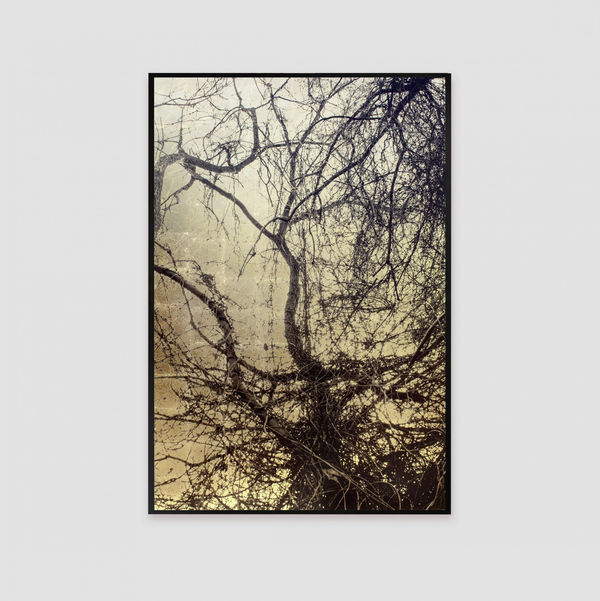 Paula Anta, NOS, 2019