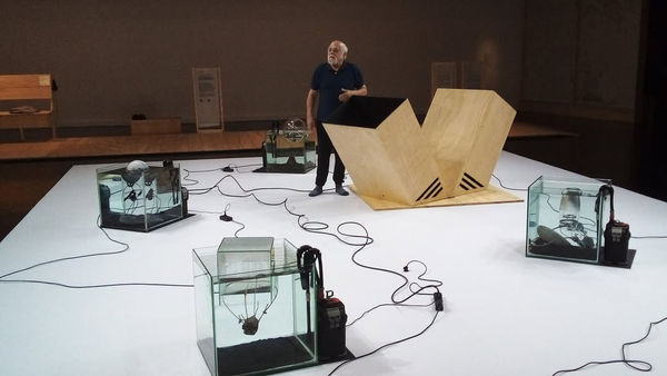 Artur Barrio: Formas das águas