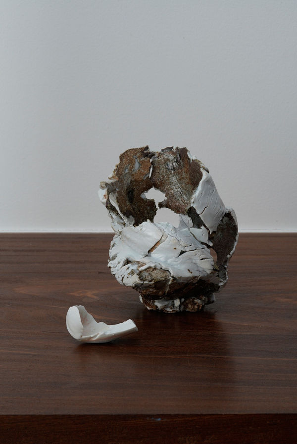 サム・チャット, Fallen Tree + Chashaku 1, 2025