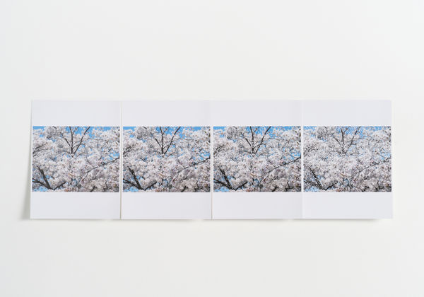 多和田 有希, ID(transition)No.8, 2024