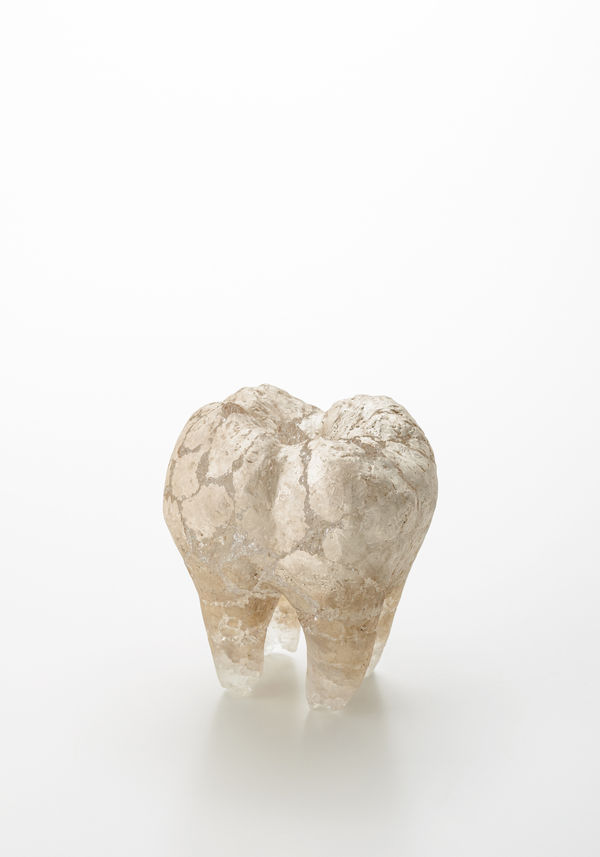 Contact-11, 2020 ガラス、銀 H14 × W10 × D13 cm 米津 真理奈