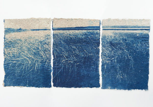 堀江 美佳, Coastal Rice farming (1/3), 2025