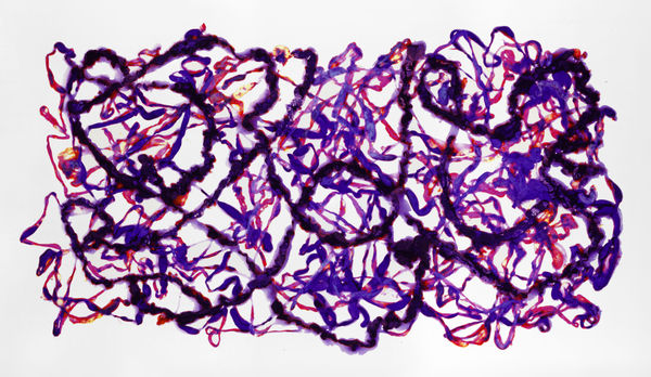 Untitled, 2011 Cibachrome Photogram H120.7 × W210.8 cm H47.2 × W82.9 in. Adam Fuss