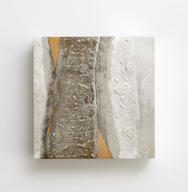 Koji Hatakeyama, Square Shape, 2019