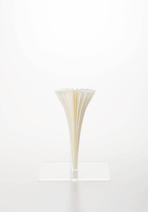 Forest4, 2019 磁器/ Porcelain H23 × W12 × D12 cm 出和 絵理