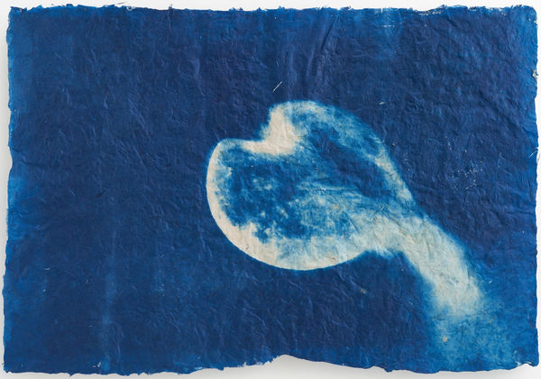 堀江 美佳, The reflected moon on the water does not flow (2/10), 2024