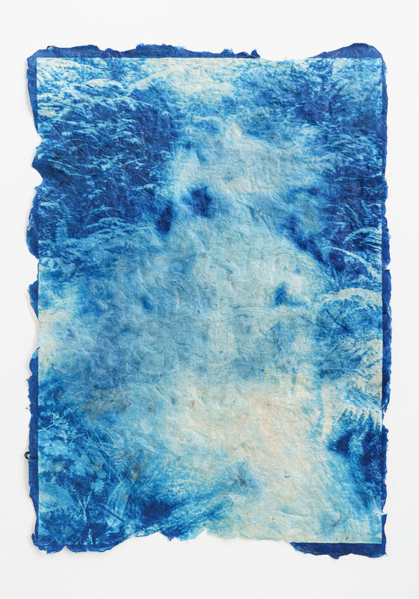 堀江 美佳: 雪解け水