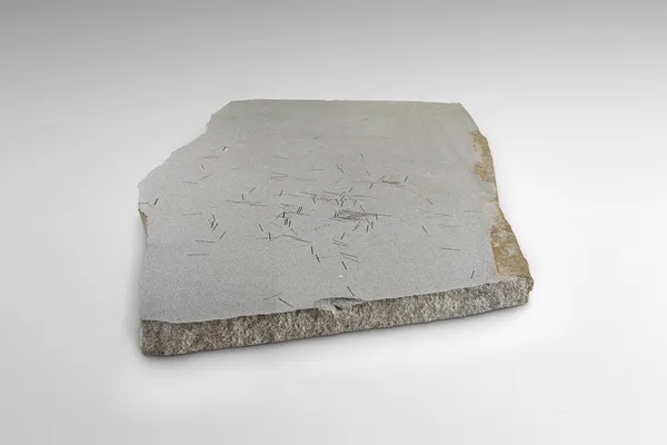 « Matchdrop Dispersal » (1971), de Michael Heizer. (Photo Land Art) © Courtesy of Nicolas Brasseur