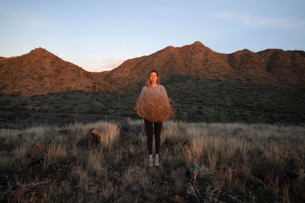 Tumbleweed, Arizona, photograph print, 60cmH x 85cm W, 2021
